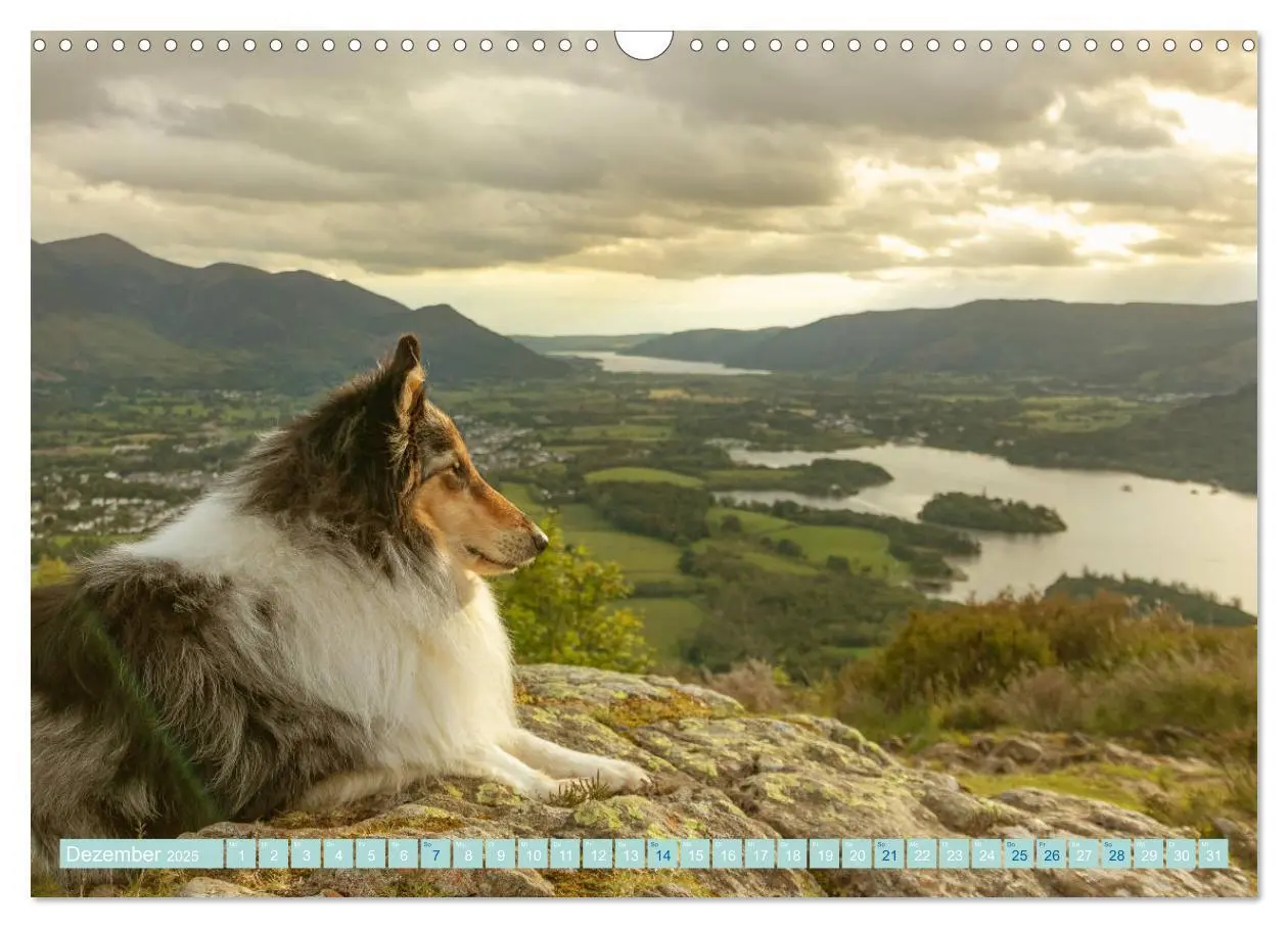 Bild: 9783435175758 | Highland-Collies - Auf vier Pfoten durch Schottland und Irland...
