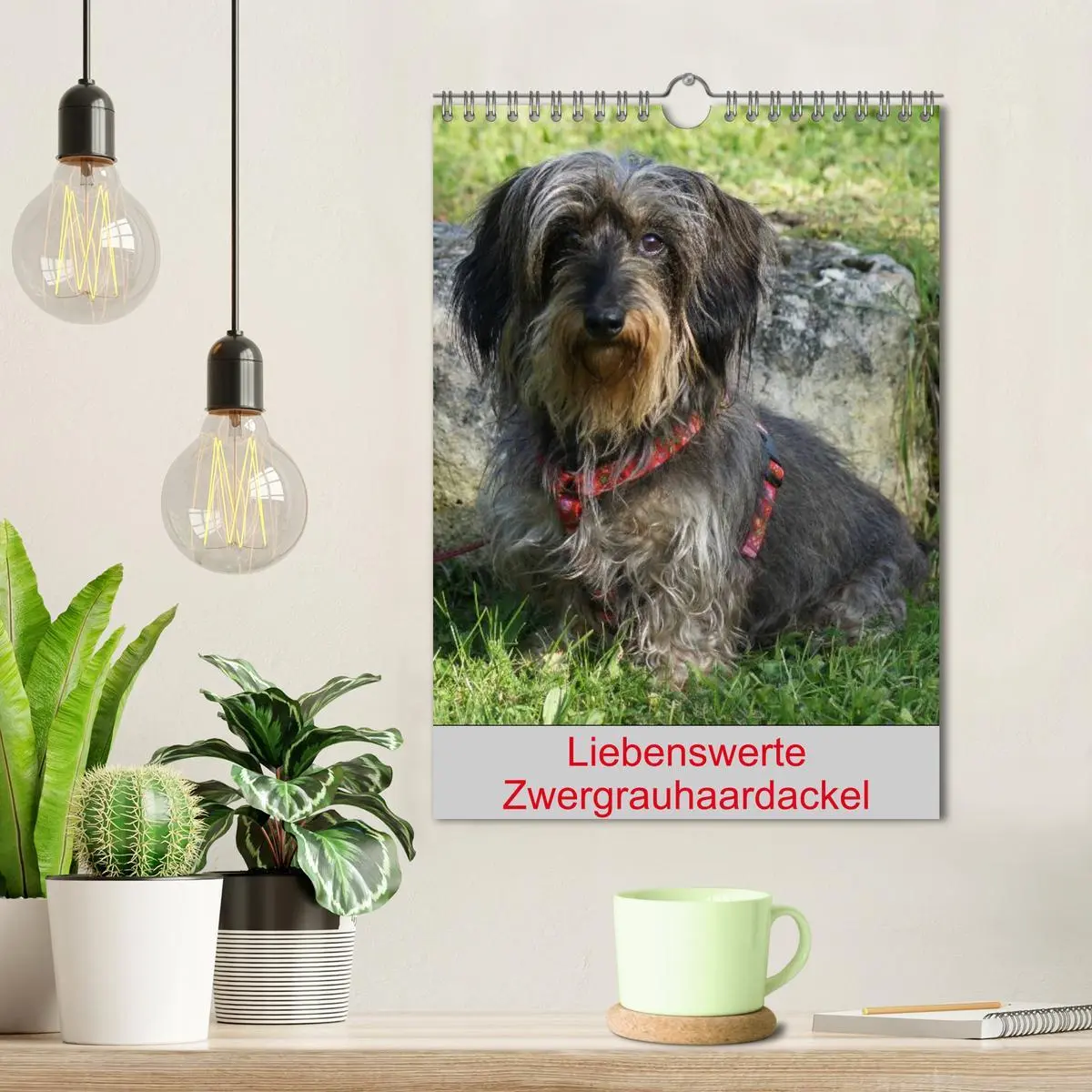 Bild: 9783516425758 | Liebenswerte Zwergrauhaardackel (Wandkalender 2026 DIN A4 hoch),...