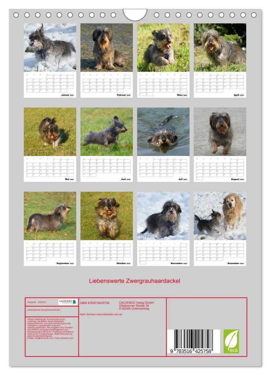 Bild: 9783516425758 | Liebenswerte Zwergrauhaardackel (Wandkalender 2026 DIN A4 hoch),...