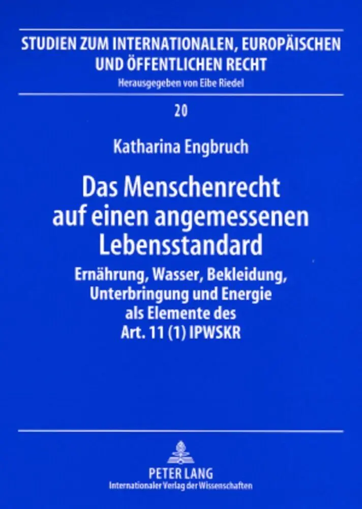 Cover: 9783631575758 | Das Menschenrecht auf einen angemessenen Lebensstandard | Engbruch