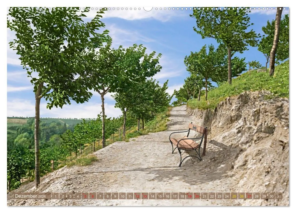 Bild: 9783516725858 | Aschersleben um 1900 - Auf der alten Burg - Kolorierte...