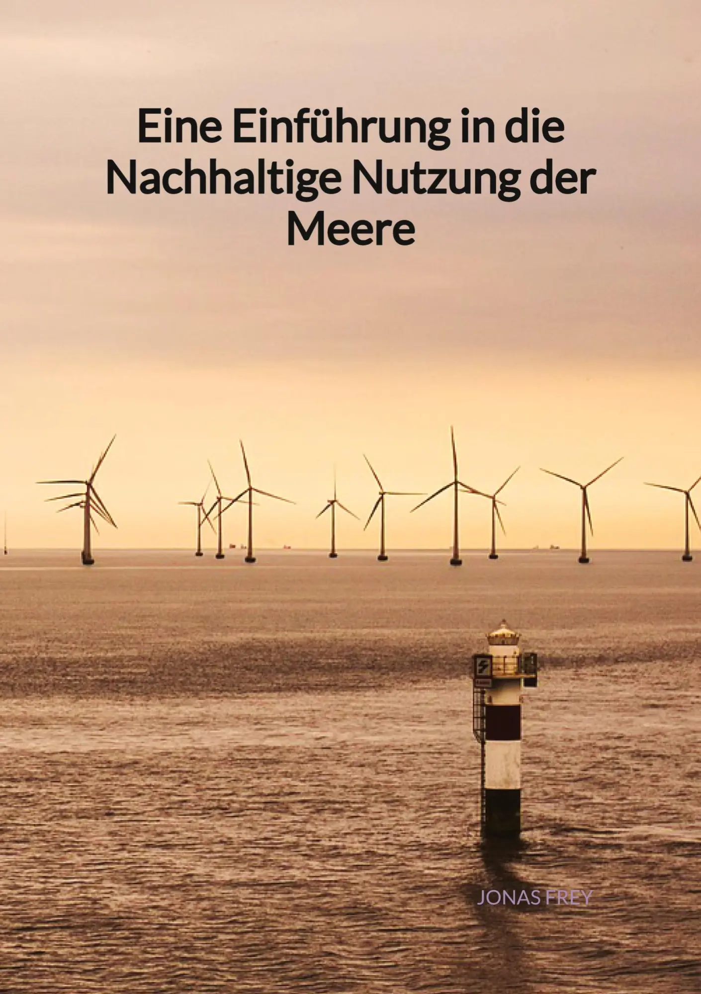 Cover: 9783347975958 | Eine Einführung in die Nachhaltige Nutzung der Meere | Jonas Frey