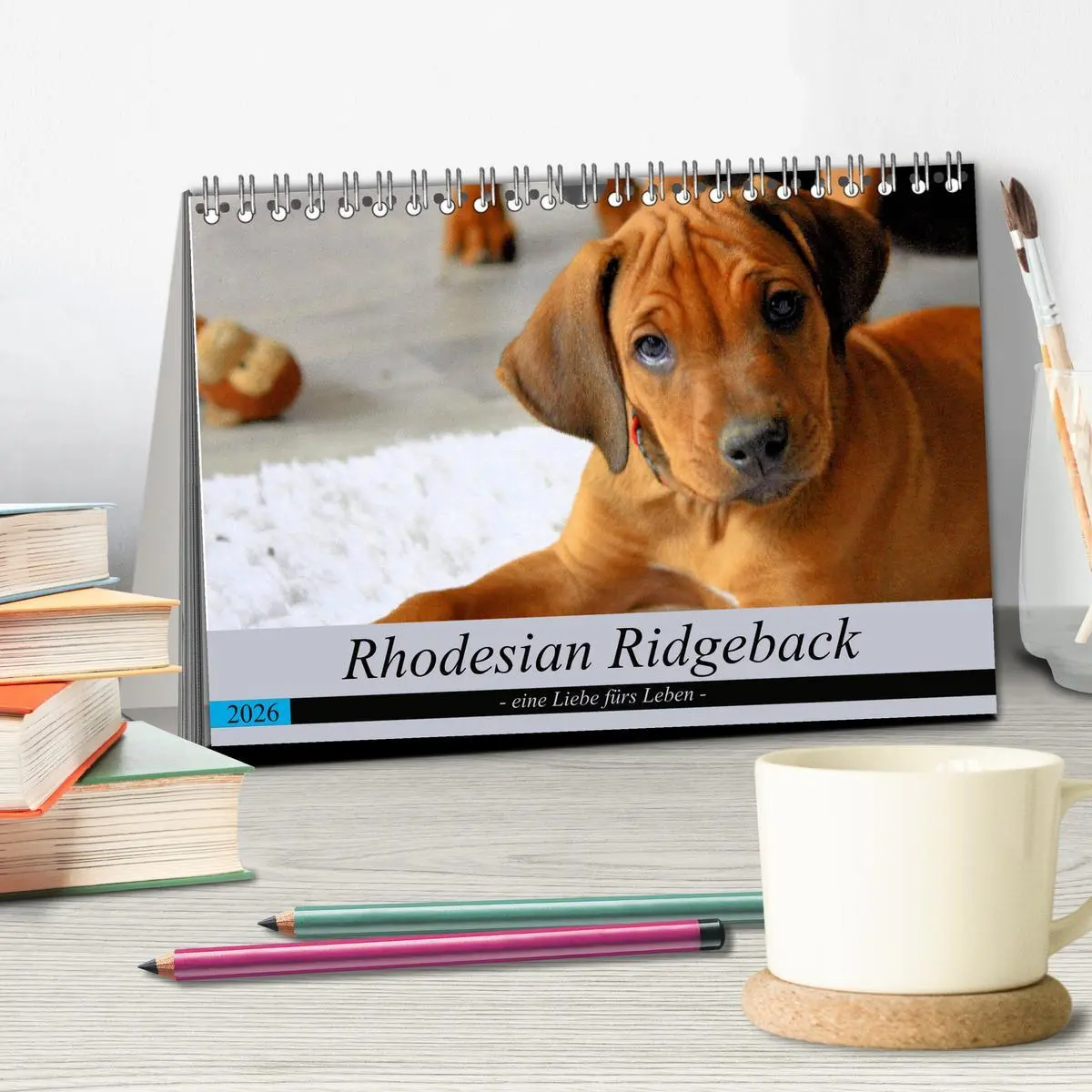 Bild: 9783457756058 | Rhodesian Ridgeback - eine Liebe fürs Leben (Tischkalender 2026 DIN...