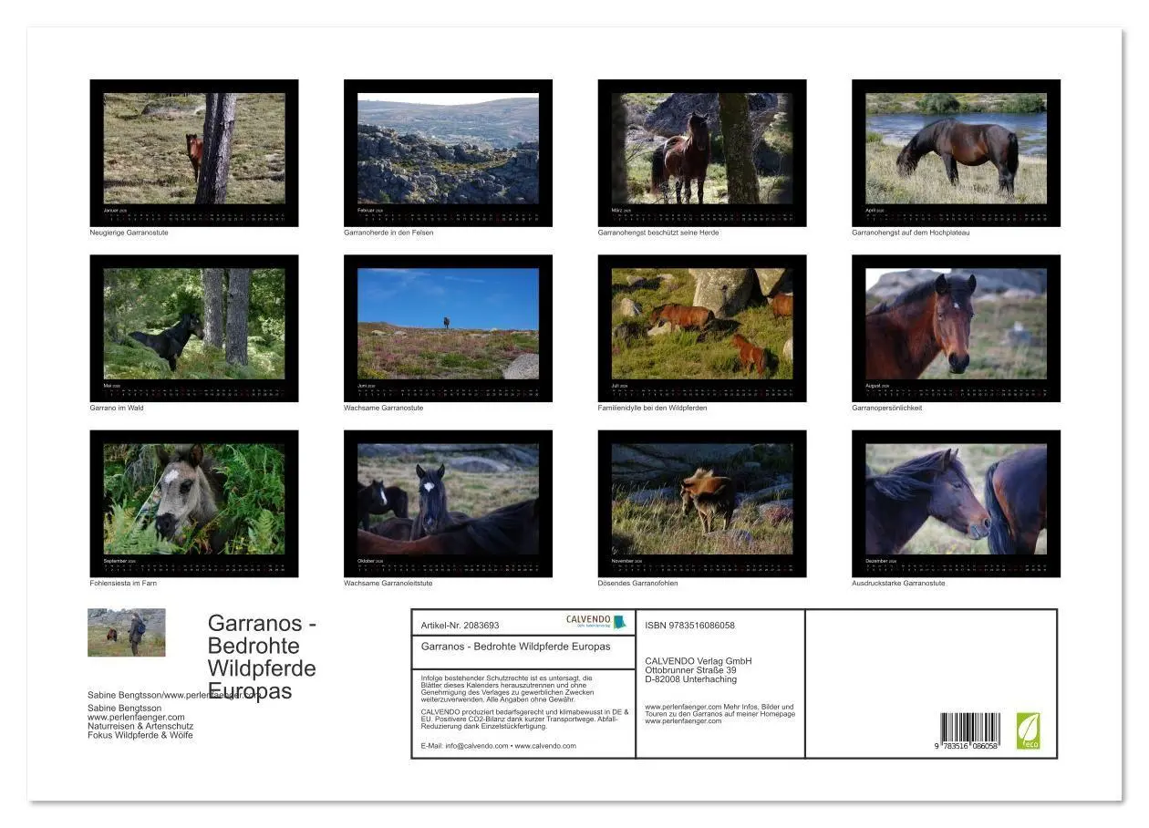 Bild: 9783516086058 | Garranos - Bedrohte Wildpferde Europas (Wandkalender 2026 DIN A2...