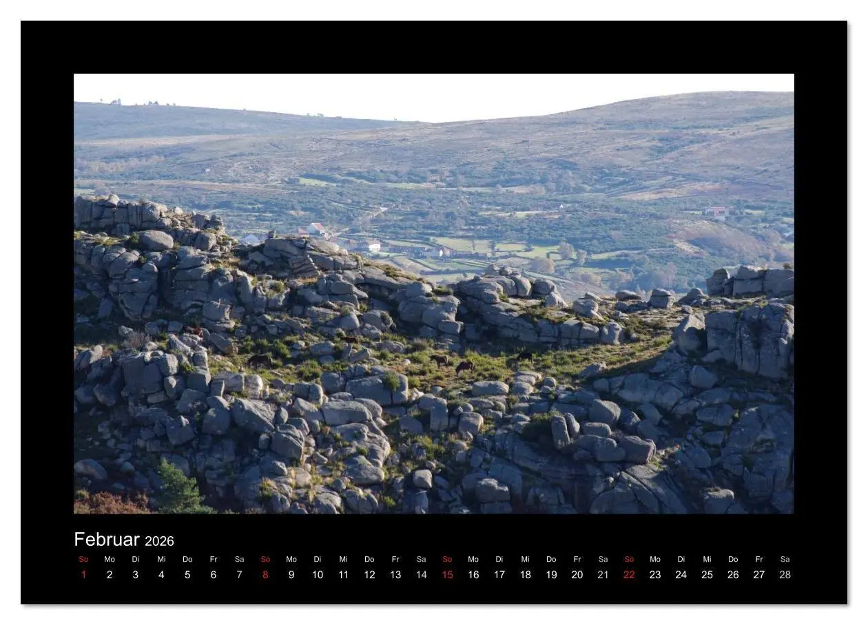Bild: 9783516086058 | Garranos - Bedrohte Wildpferde Europas (Wandkalender 2026 DIN A2...
