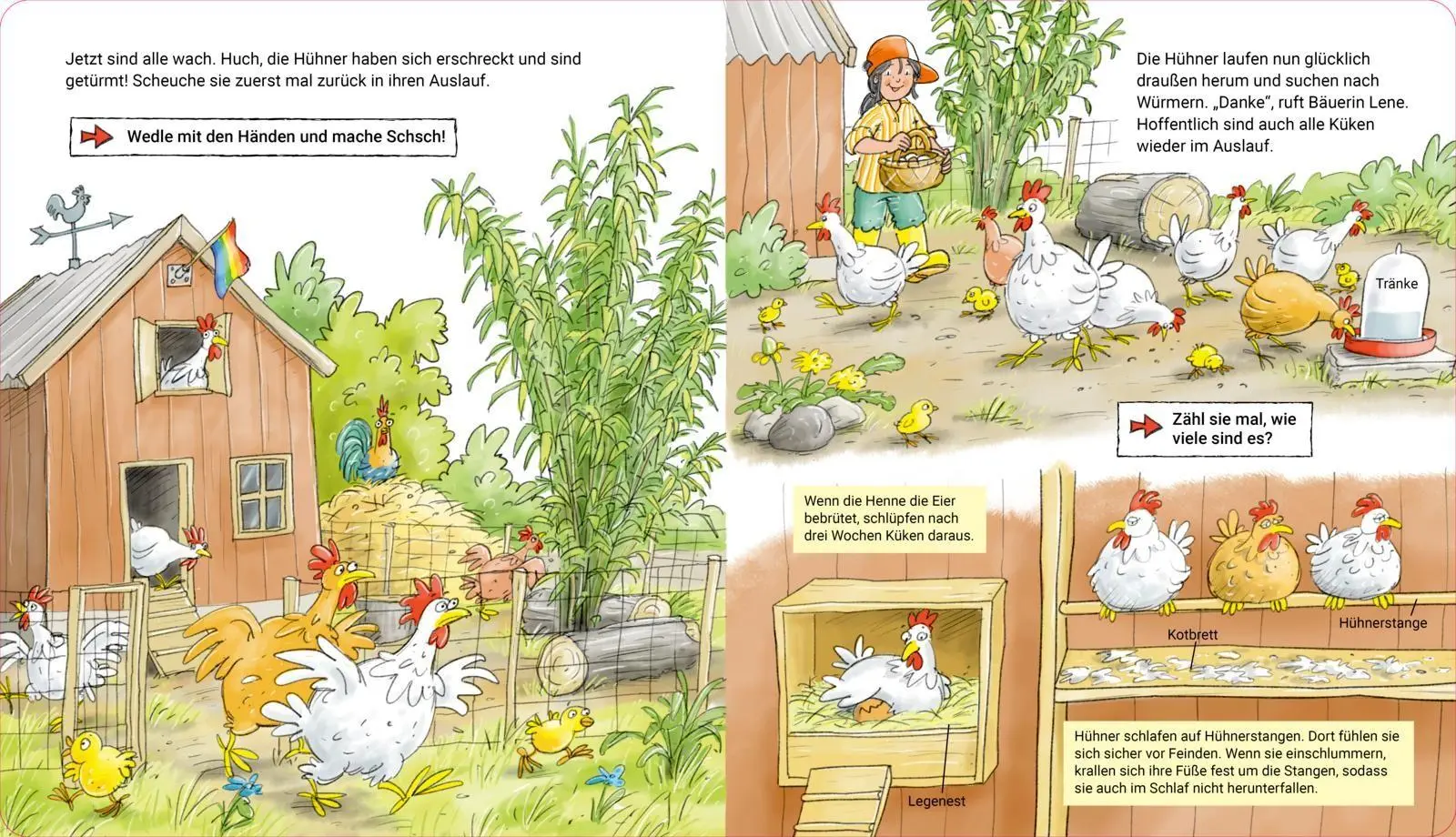 Bild: 9783551256058 | Mach mit auf dem Bauernhof | Sandra Grimm | Buch | 24 S. | Deutsch
