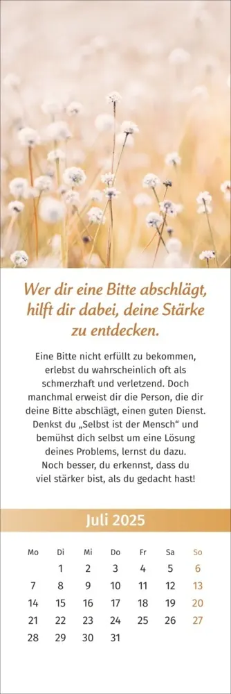 Bild: 9783840196058 | PAL - Der Lebensfreude Lesezeichen &amp; Kalender 2025 | Wolf | Kalender