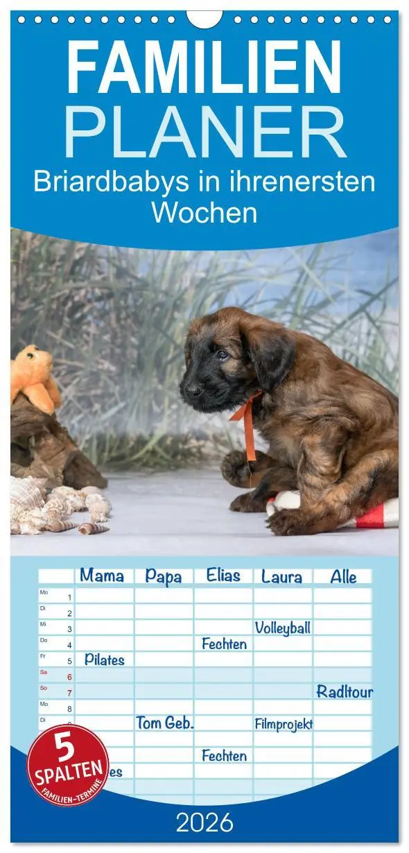 Cover: 9783516516258 | Familienplaner 2026 - Briardbabys in ihren ersten Wochen mit 5...