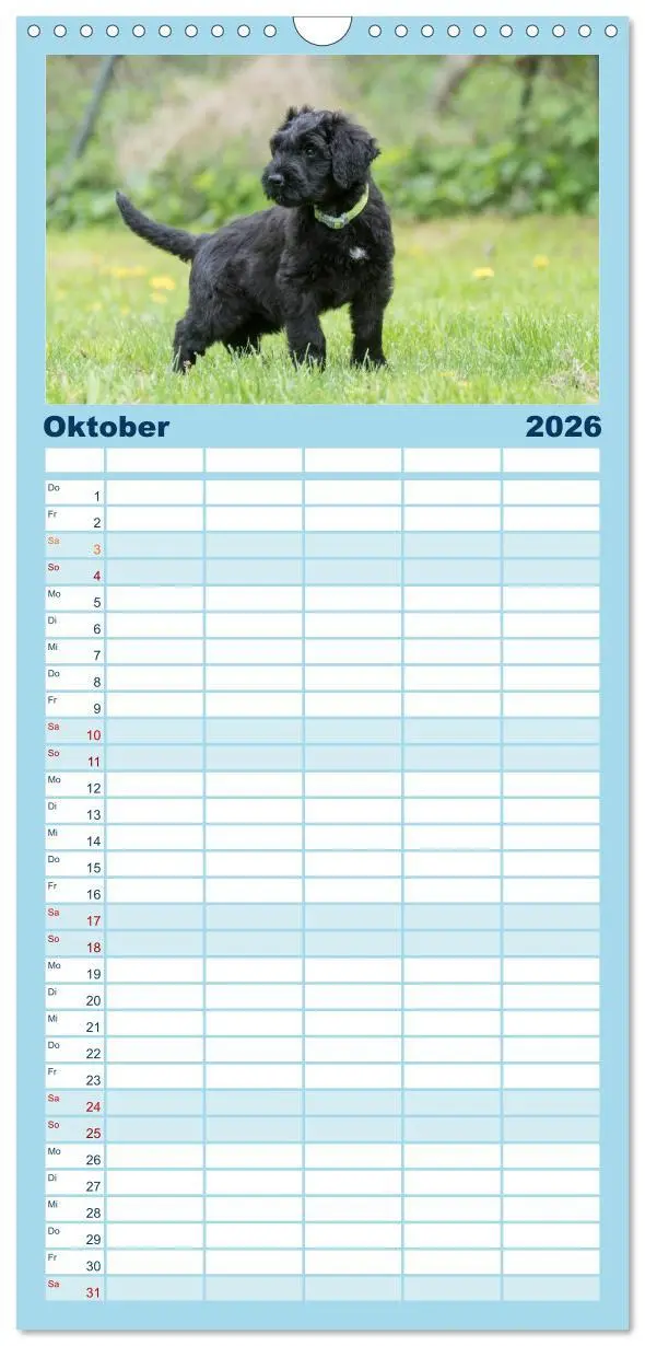 Bild: 9783516516258 | Familienplaner 2026 - Briardbabys in ihren ersten Wochen mit 5...