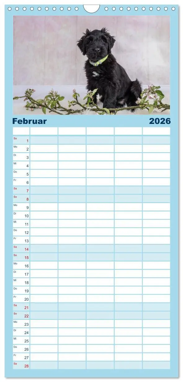 Bild: 9783516516258 | Familienplaner 2026 - Briardbabys in ihren ersten Wochen mit 5...