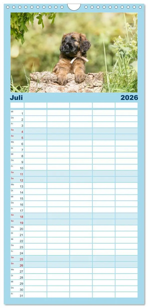 Bild: 9783516516258 | Familienplaner 2026 - Briardbabys in ihren ersten Wochen mit 5...