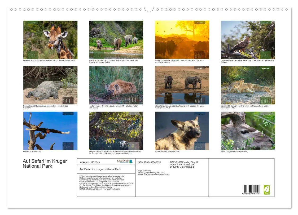 Bild: 9783457586358 | Auf Safari im Kruger National Park (Wandkalender 2026 DIN A2 quer),...