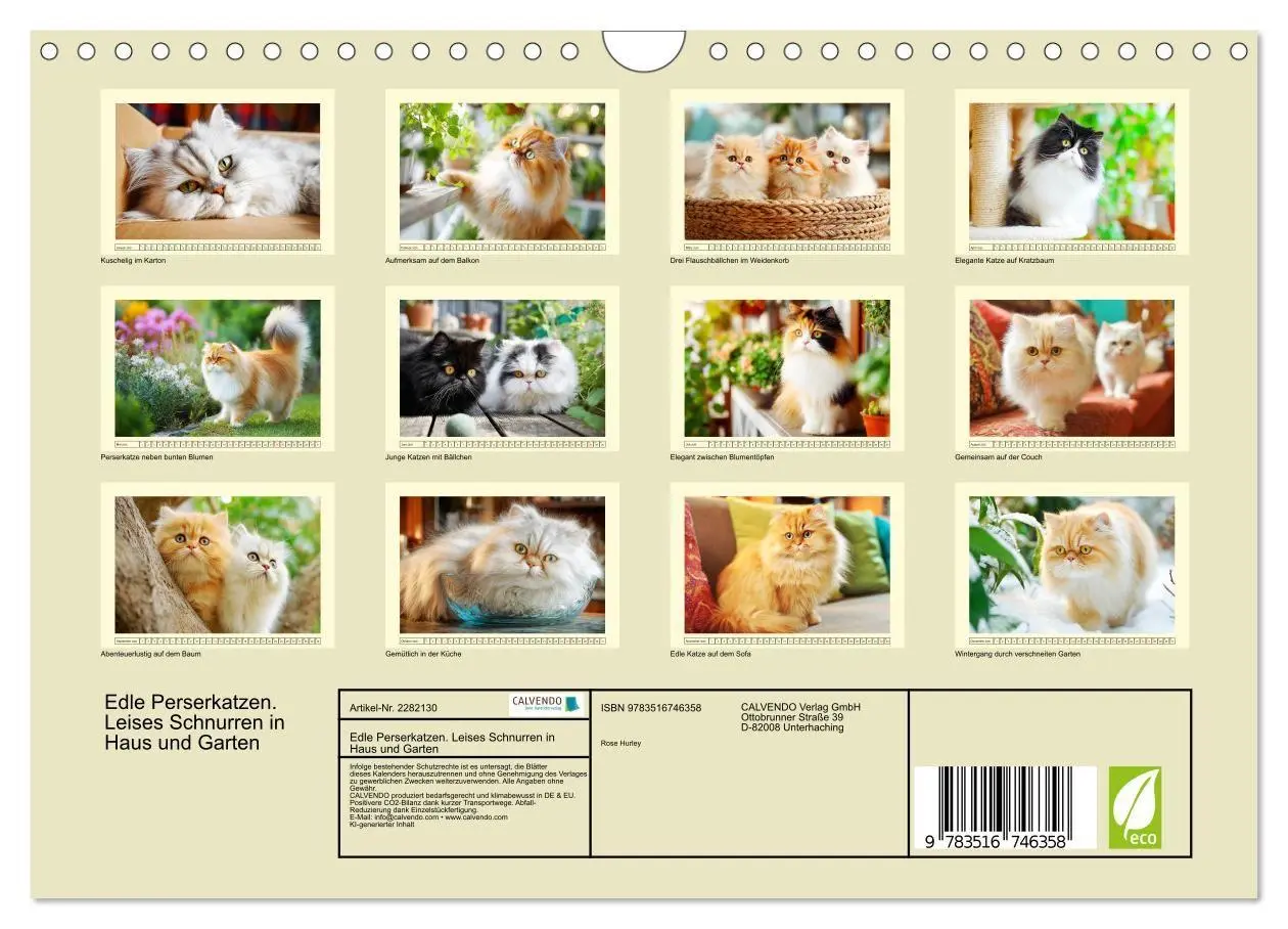 Bild: 9783516746358 | Edle Perserkatzen. Leises Schnurren in Haus und Garten...