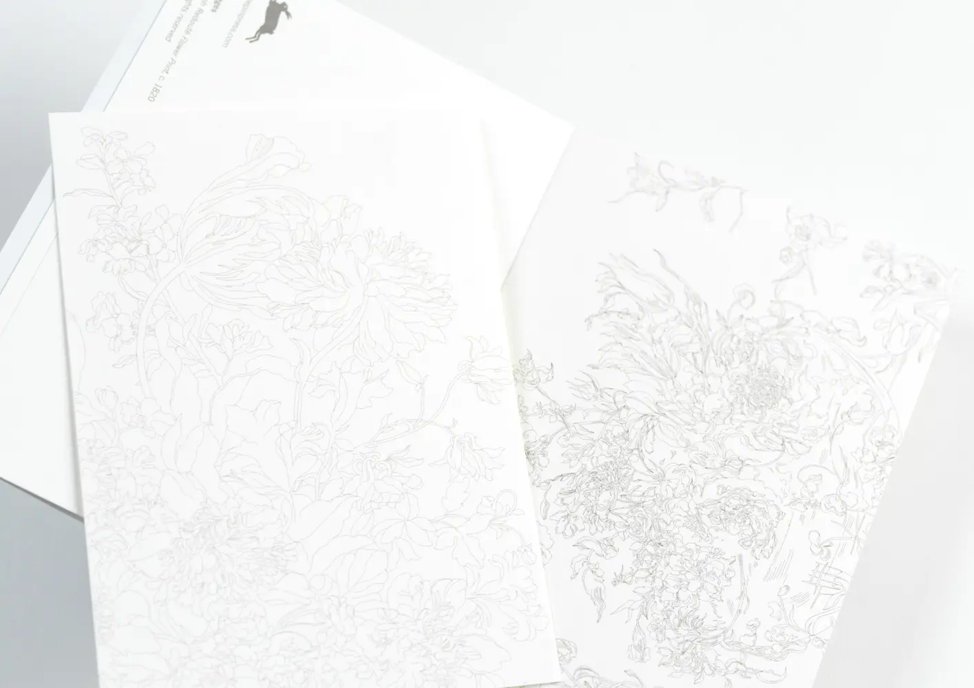 Bild: 9789460096358 | Floral Images | Watercolour Postcard Book / Postkarten - Malbuch