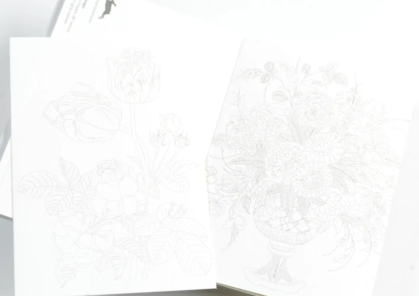 Bild: 9789460096358 | Floral Images | Watercolour Postcard Book / Postkarten - Malbuch
