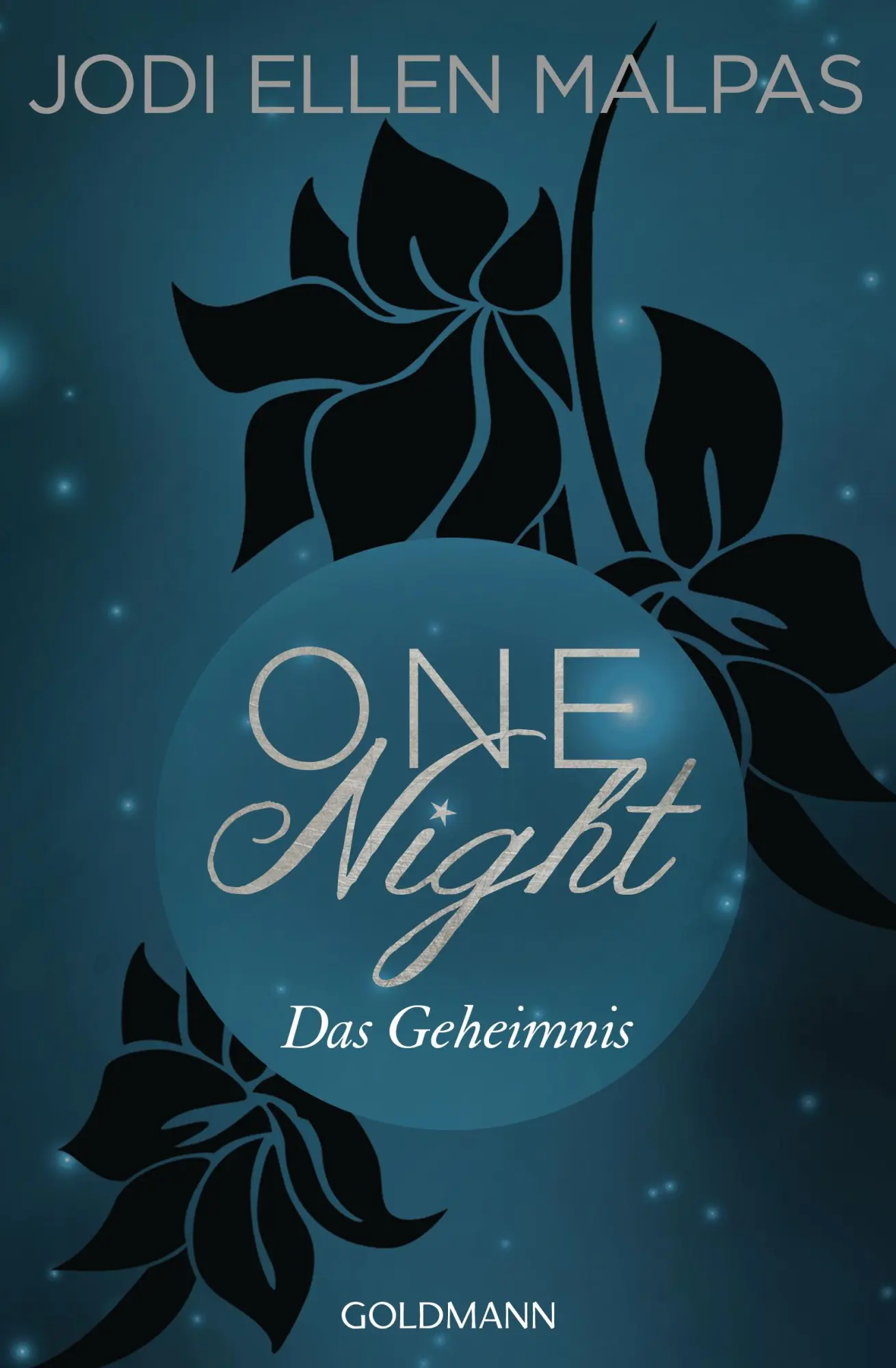 Cover: 9783442486458 | One Night - Das Geheimnis | Die One Night-Saga 2 | Jodi Ellen Malpas