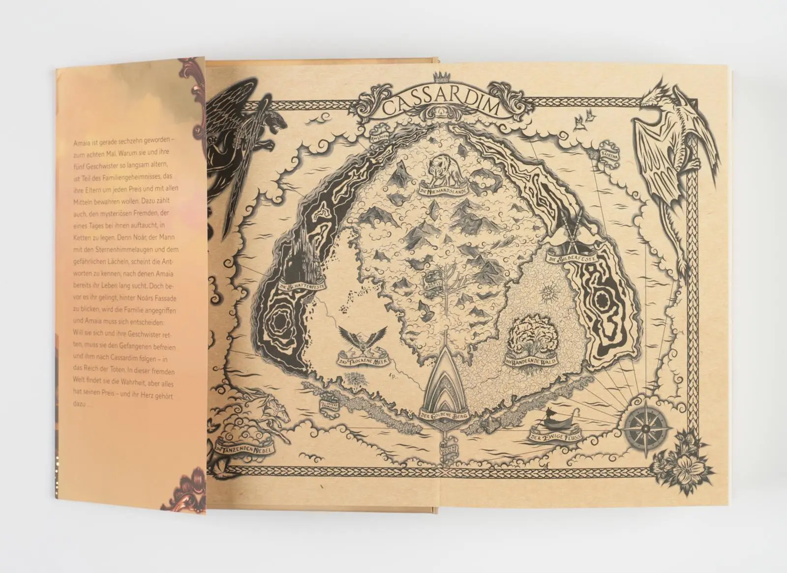 Bild: 9783522506458 | Cassardim 1: Jenseits der Goldenen Brücke | Julia Dippel | Buch | 2019