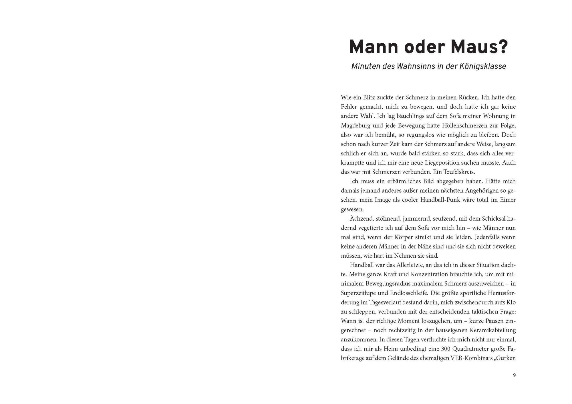 Bild: 9783841906458 | Hölleluja! | Warum Handball der absolute Wahnsinn ist | Taschenbuch