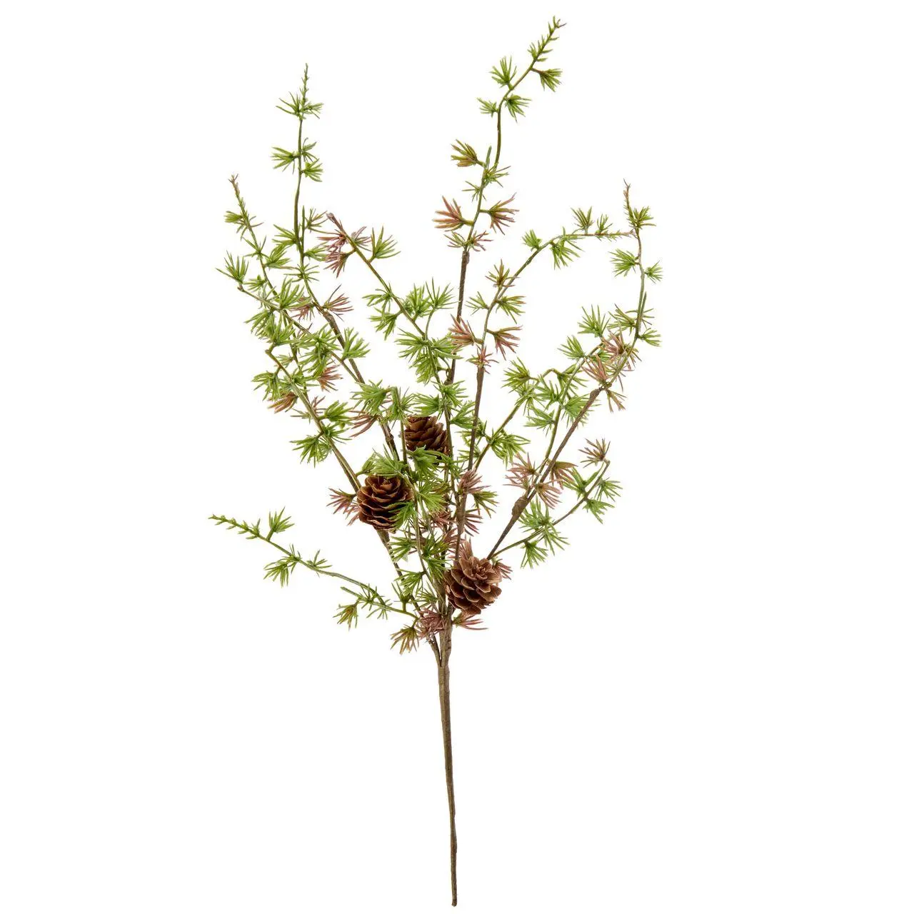 Lärchenzweig mit Zapfen, 44cm