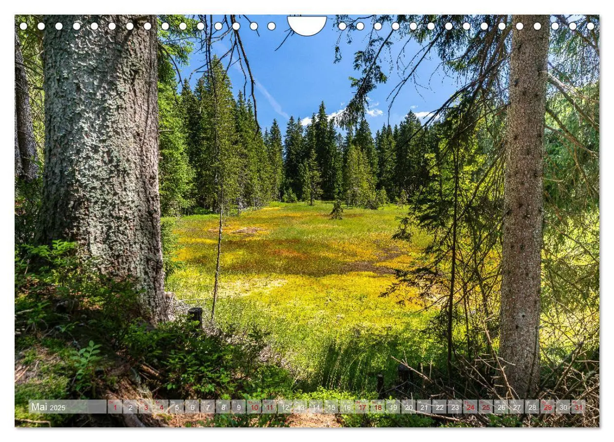 Bild: 9783435236558 | Vogtland - Farben einer Landschaft (Wandkalender 2025 DIN A4 quer),...