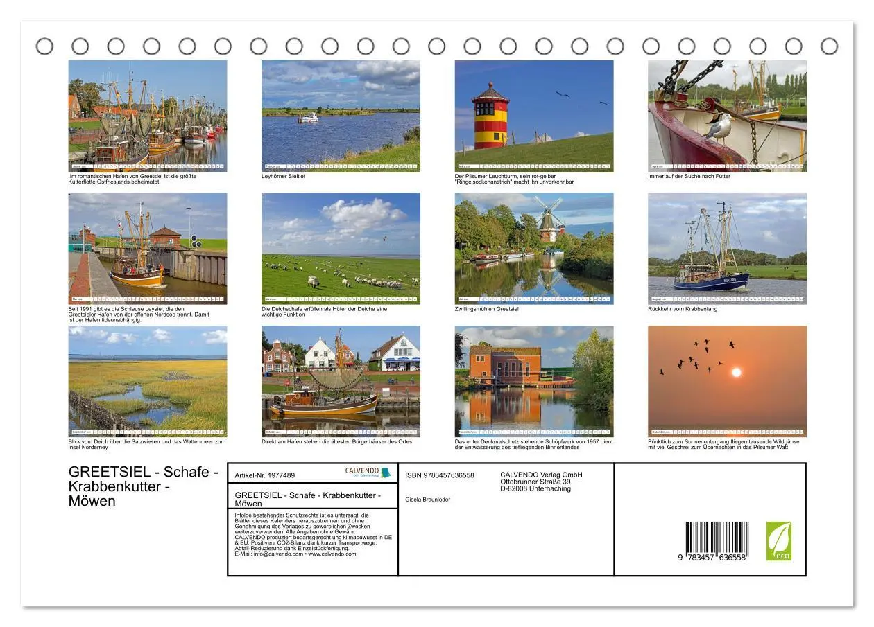 Bild: 9783457636558 | GREETSIEL - Schafe - Krabbenkutter - Möwen (Tischkalender 2026 DIN...