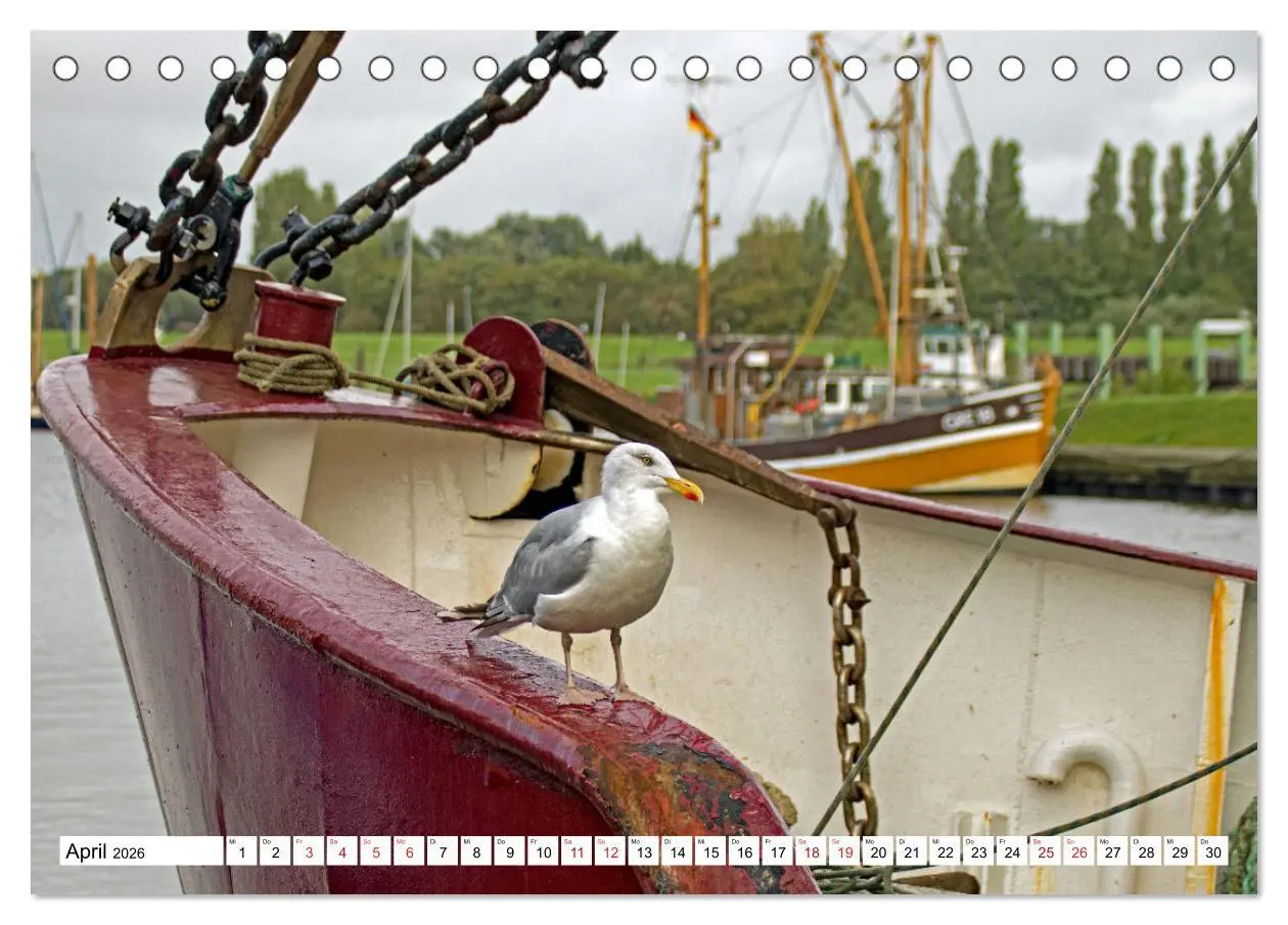Bild: 9783457636558 | GREETSIEL - Schafe - Krabbenkutter - Möwen (Tischkalender 2026 DIN...