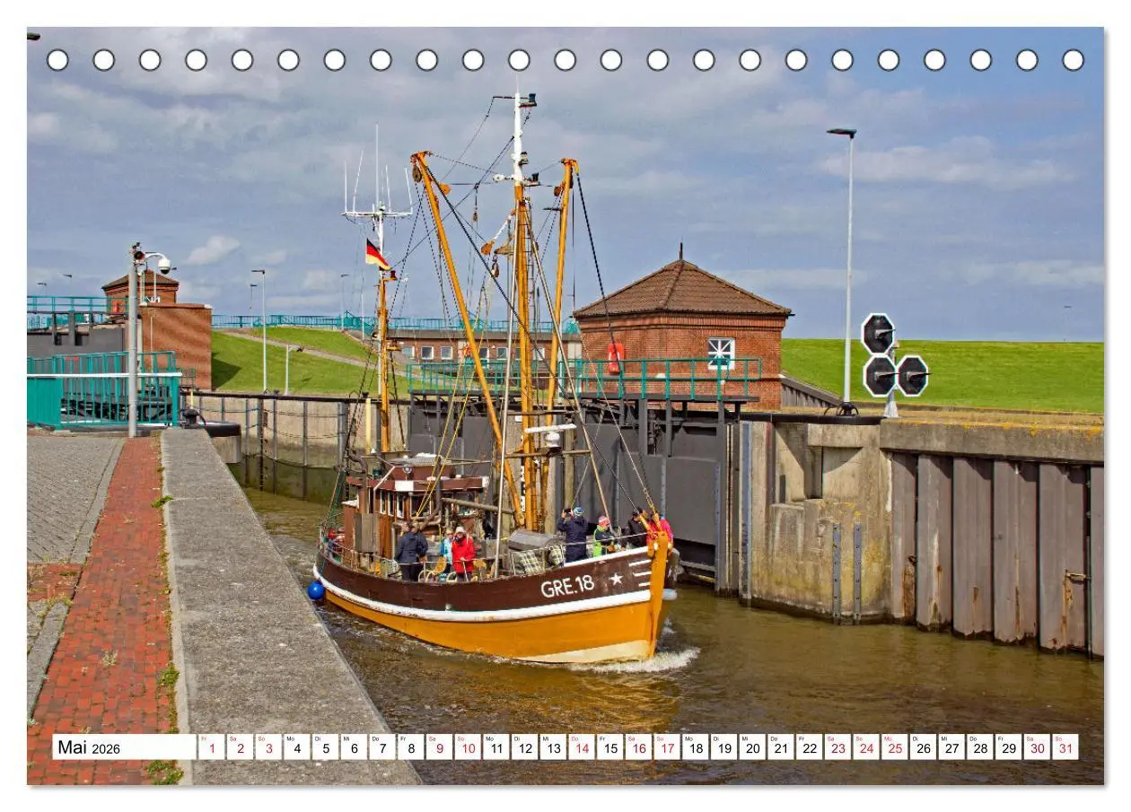 Bild: 9783457636558 | GREETSIEL - Schafe - Krabbenkutter - Möwen (Tischkalender 2026 DIN...