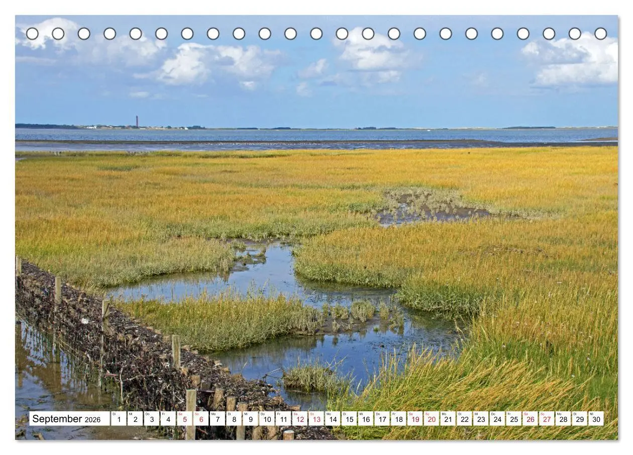 Bild: 9783457636558 | GREETSIEL - Schafe - Krabbenkutter - Möwen (Tischkalender 2026 DIN...