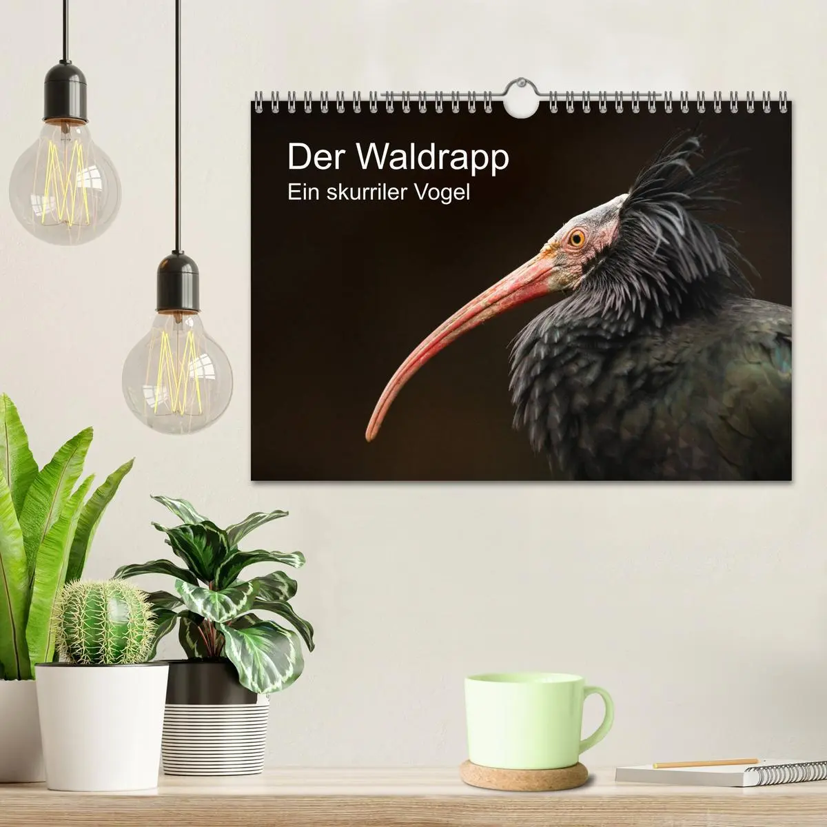 Bild: 9783457706558 | Der Waldrapp - Ein skurriler Vogel (Wandkalender 2026 DIN A4 quer),...