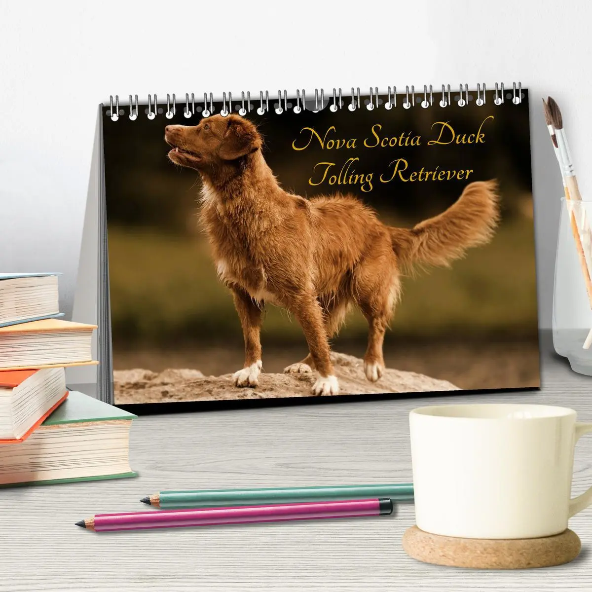 Bild: 9783516026658 | Nova Scotia Duck Tolling Retriever (Tischkalender 2026 DIN A5...