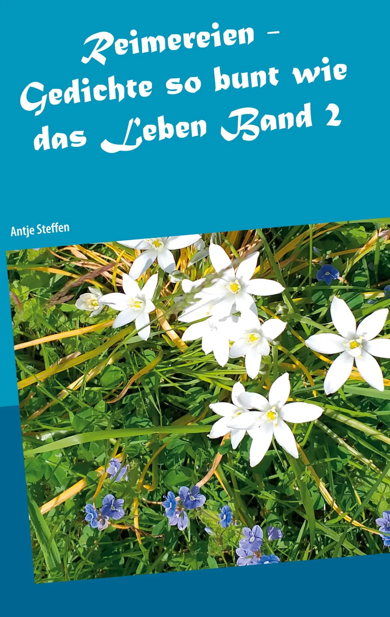 Cover: 9783754316658 | Reimereien - Gedichte so bunt wie das Leben Band 2 | Antje Steffen