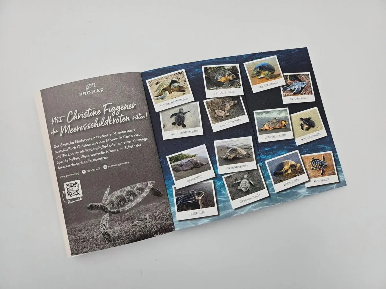 Bild: 9783492406758 | Meine Reise mit den Meeresschildkröten | Christine Figgener | Buch