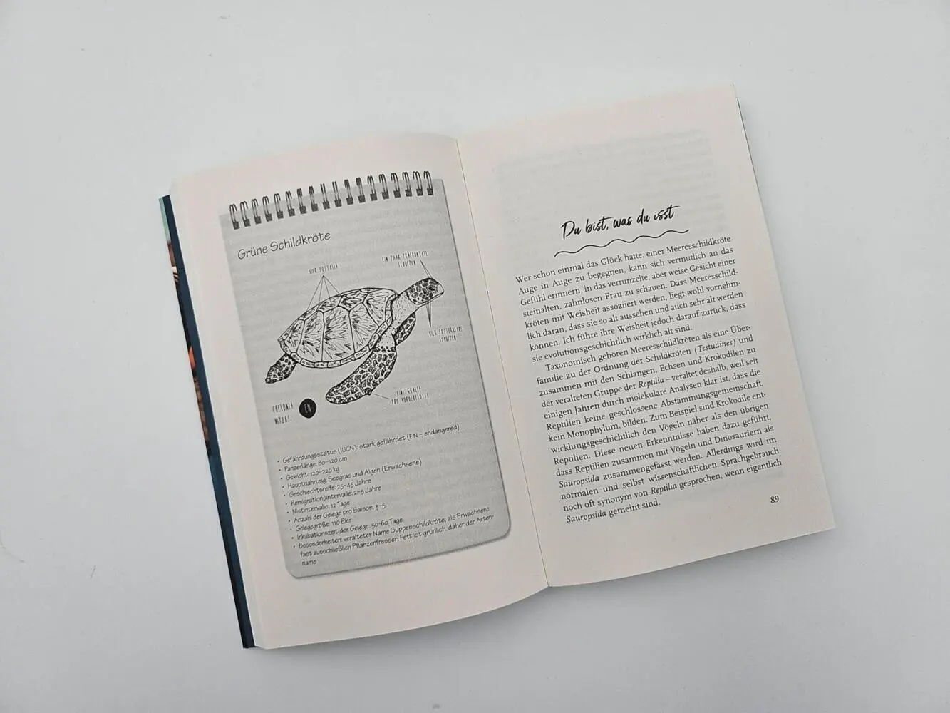 Bild: 9783492406758 | Meine Reise mit den Meeresschildkröten | Christine Figgener | Buch