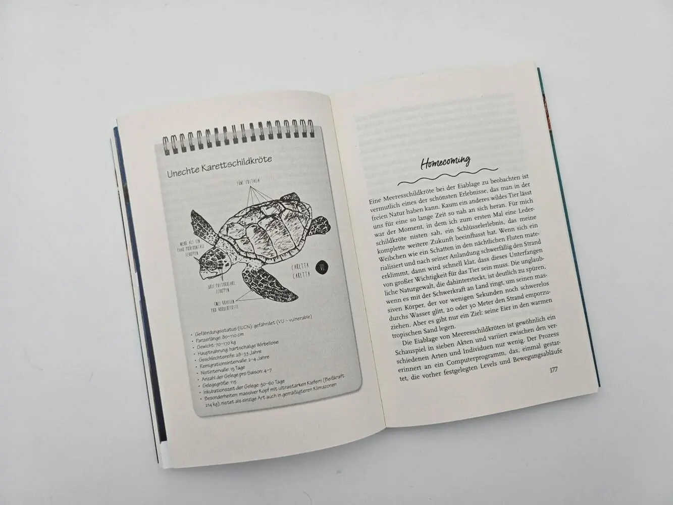 Bild: 9783492406758 | Meine Reise mit den Meeresschildkröten | Christine Figgener | Buch