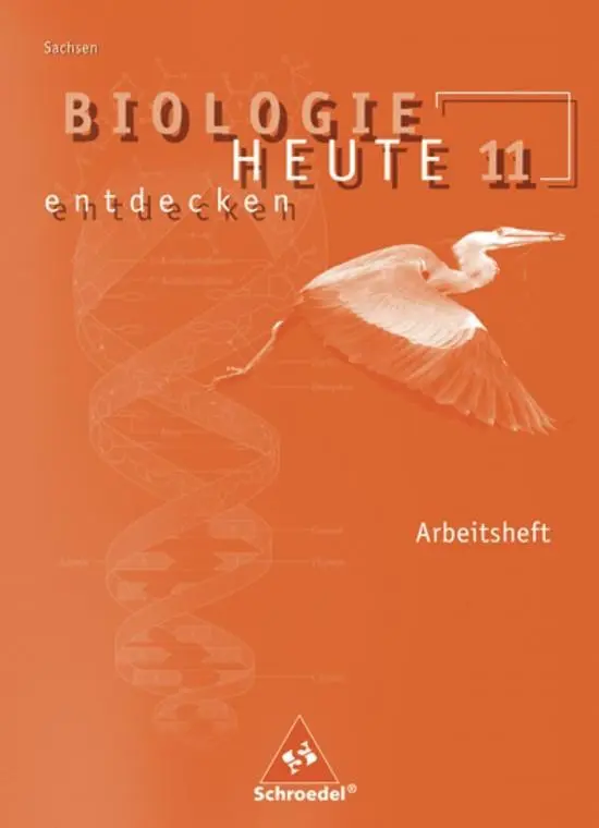 Cover: 9783507106758 | Biologie heute entdecken SII - Ausgabe 2008 für Sachsen | Antje Starke