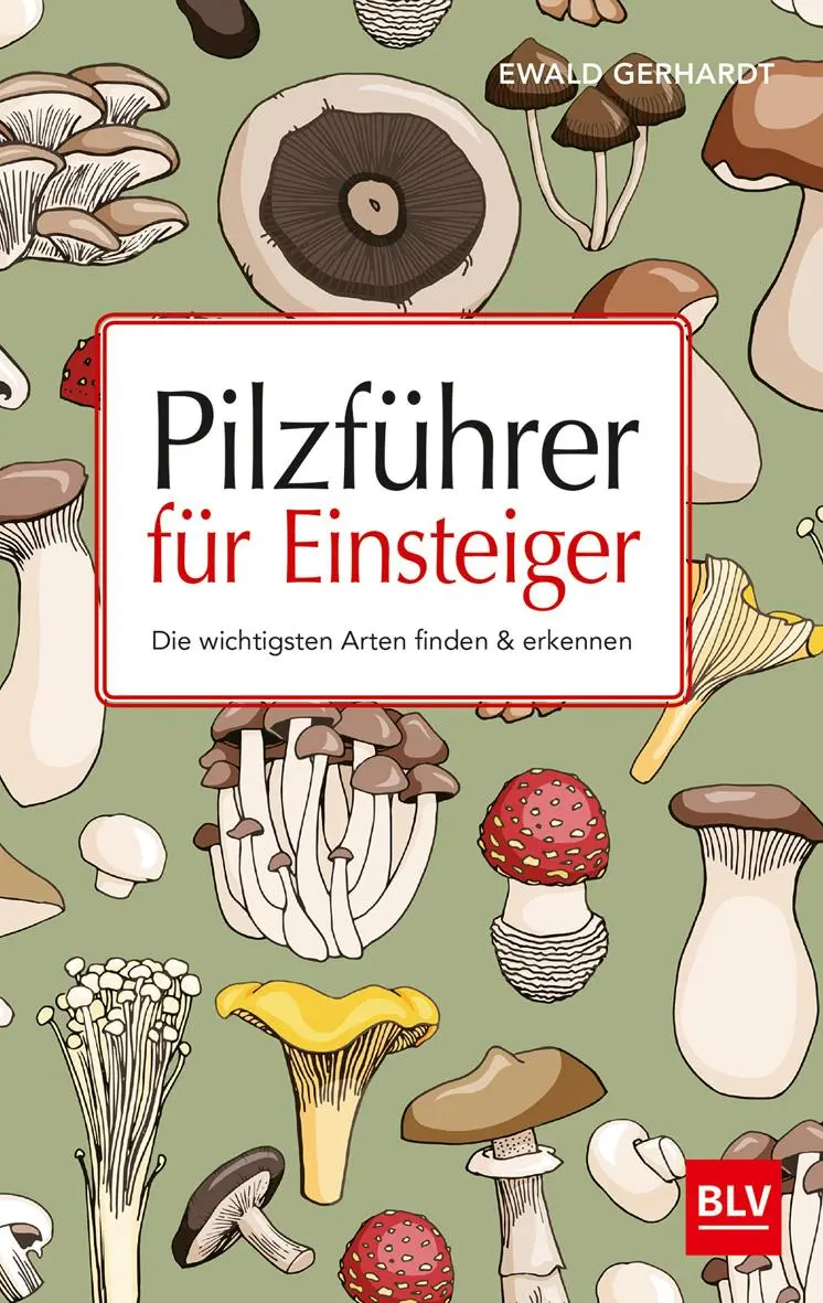 Cover: 9783835416758 | Pilzführer für Einsteiger | Die wichtigsten Arten finden &amp; erkennen