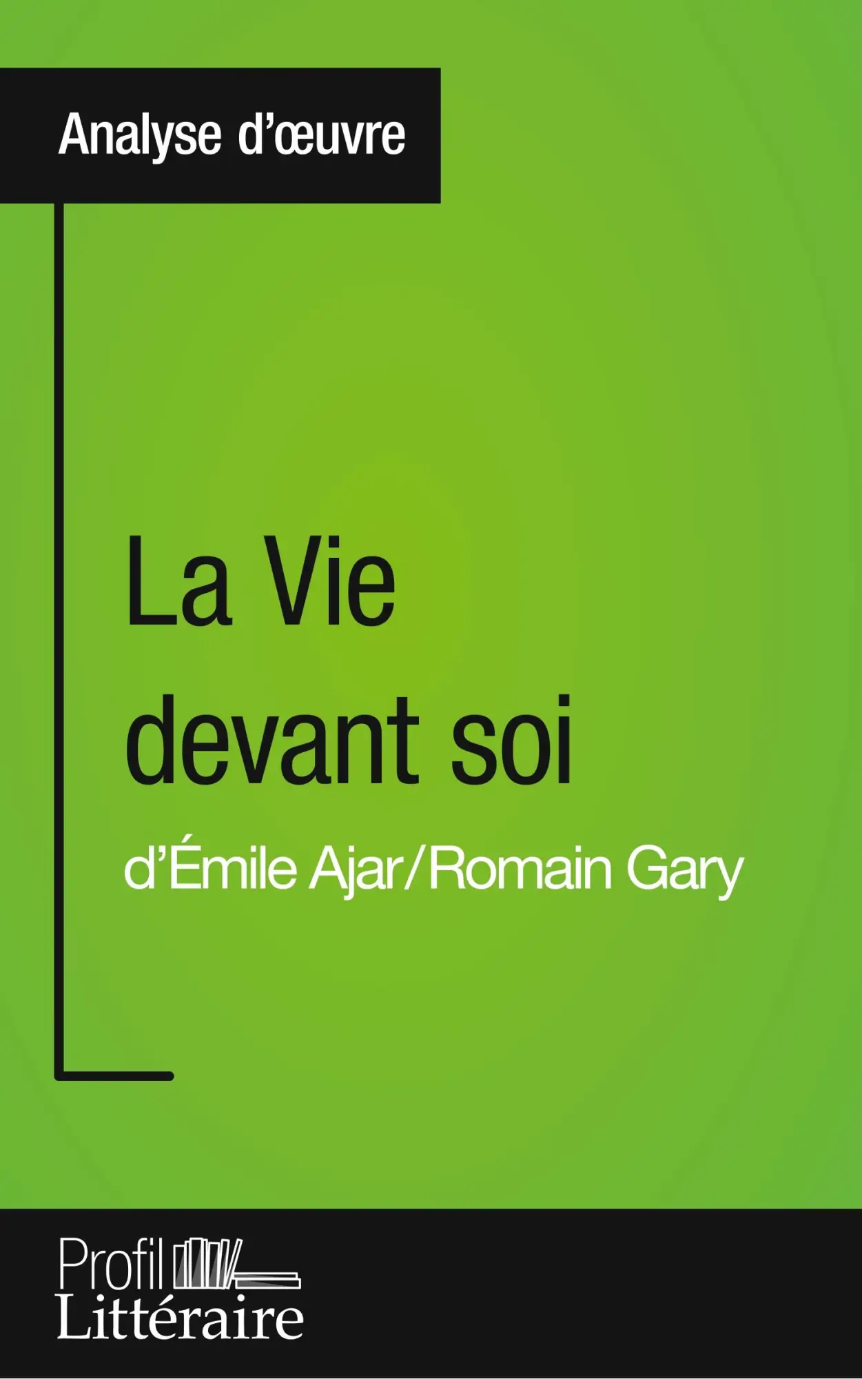 Cover: 9782806276858 | La Vie devant soi de Romain Gary (Analyse approfondie) | Brohee | Buch