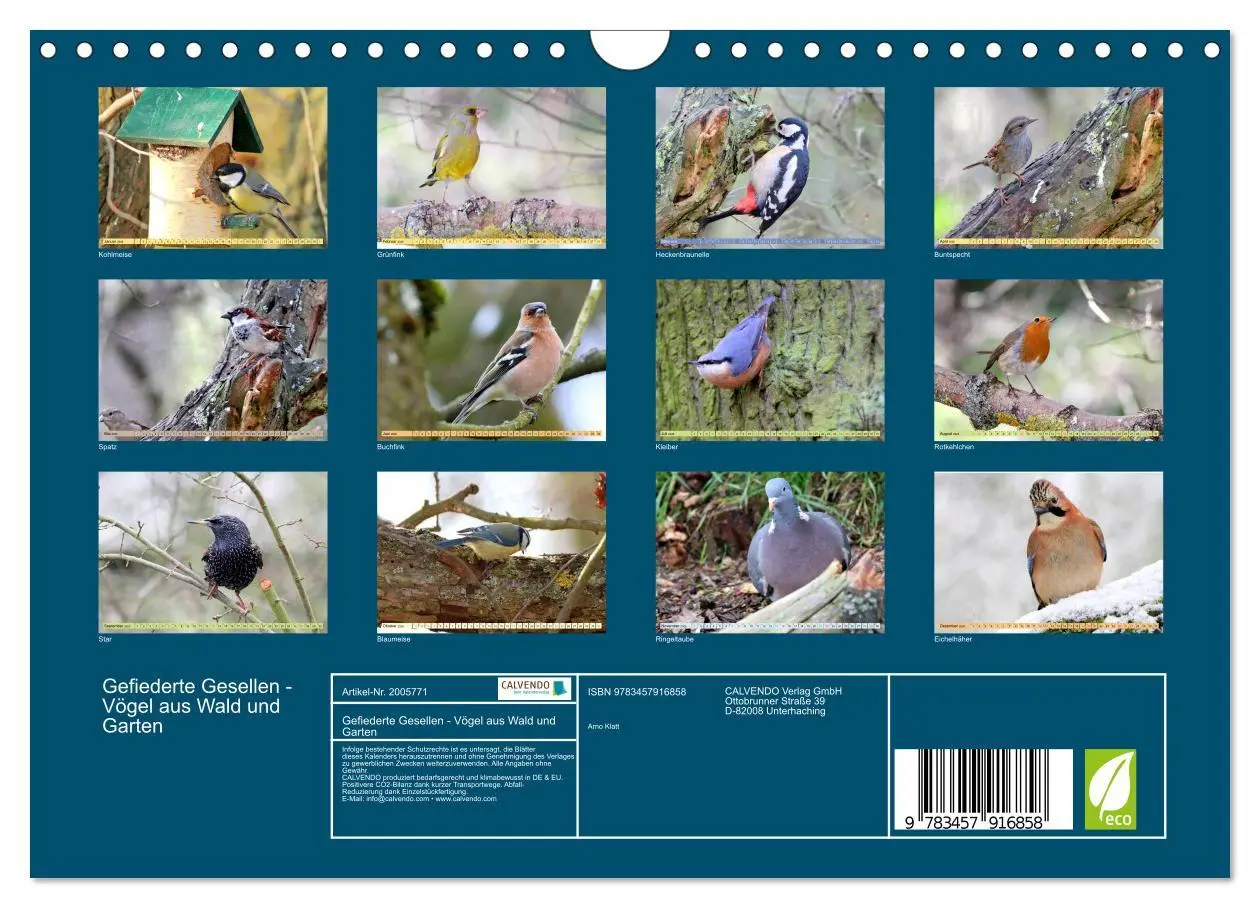 Bild: 9783457916858 | Gefiederte Gesellen - Vögel aus Wald und Garten (Wandkalender 2026...