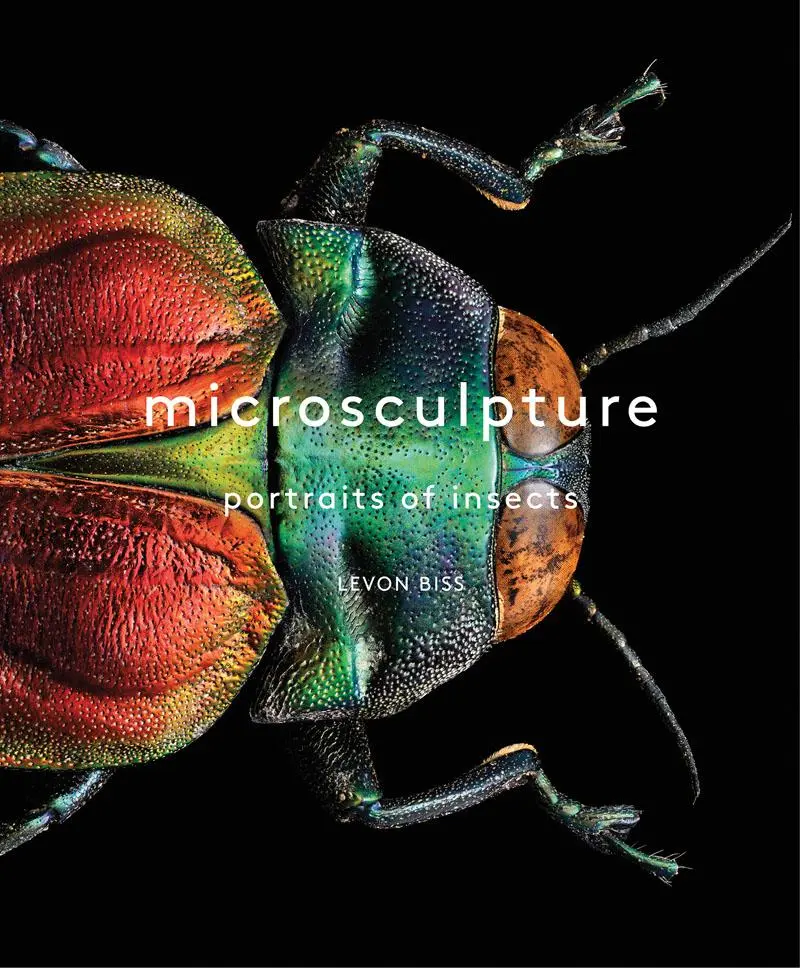 Cover: 9781419726958 | Microsculpture | Portraits of Insects | Levon Biss | Buch | Gebunden