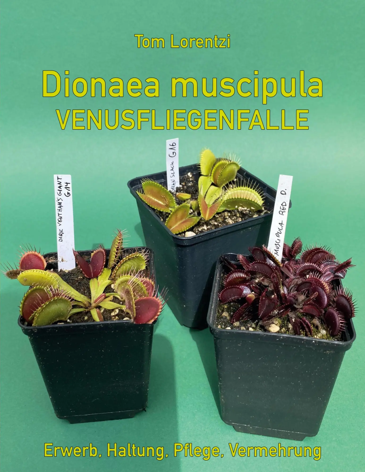 Cover: 9783695126958 | Dionaea muscipula | Venusfliegenfalle | Tom Lorentzi | Taschenbuch