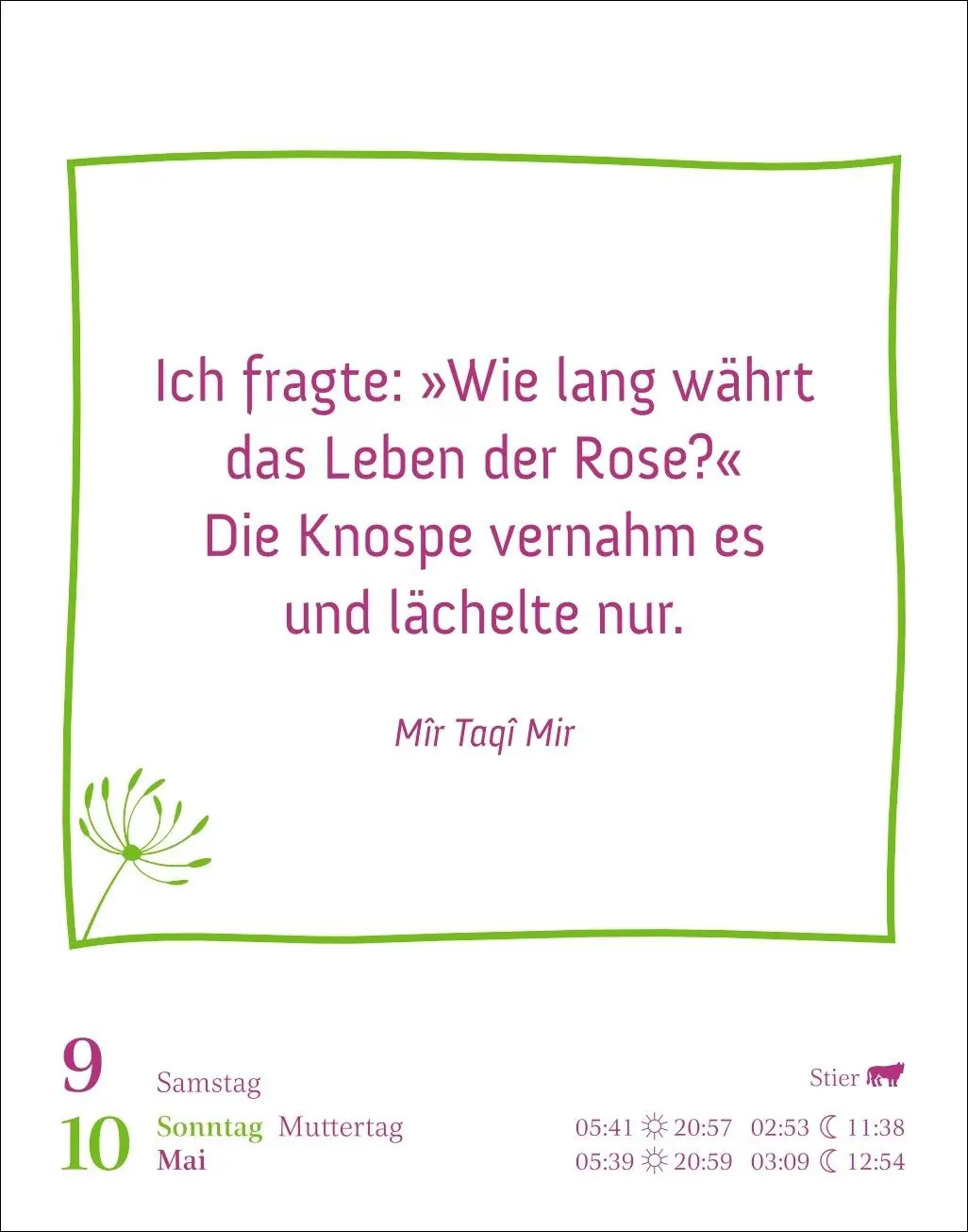 Bild: 9783840036958 | Heute ist dein Tag! Tagesabreißkalender 2026 - 313 positive Zitate...
