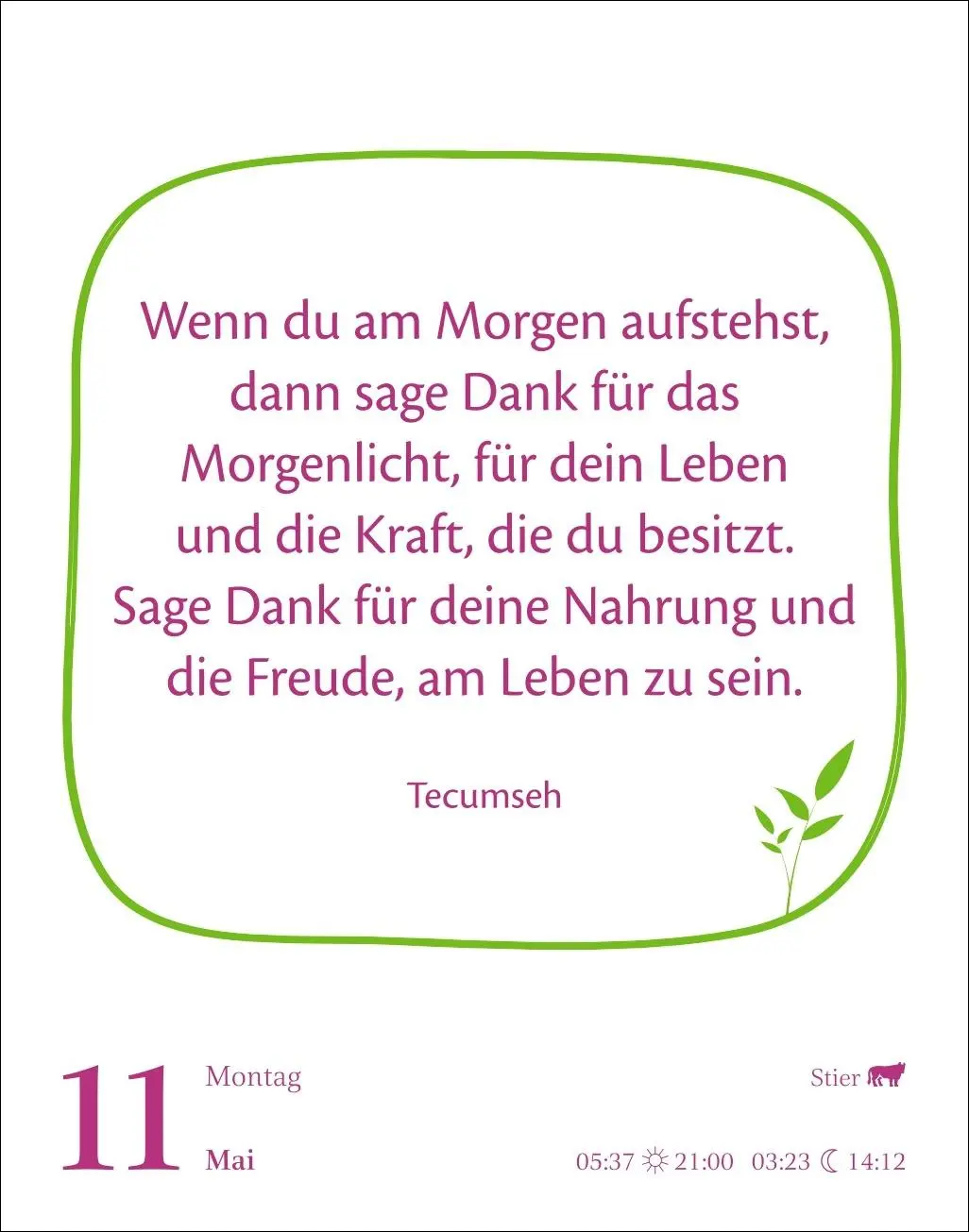 Bild: 9783840036958 | Heute ist dein Tag! Tagesabreißkalender 2026 - 313 positive Zitate...