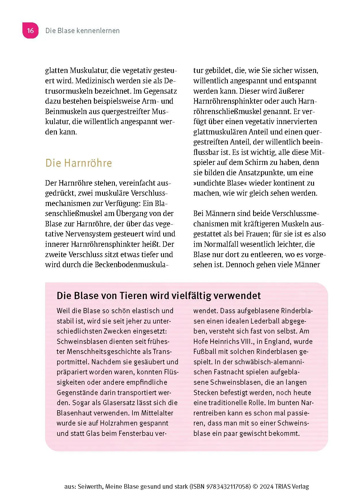 Bild: 9783432117058 | Meine Blase gesund und stark | Isabell Seiwerth | Taschenbuch | 144 S.