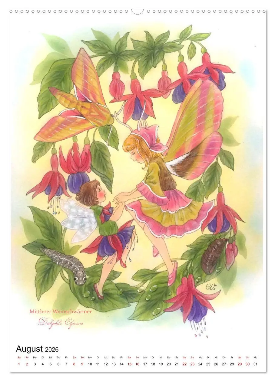Bild: 9783516367058 | Schmetterlings-Elfen (hochwertiger Premium Wandkalender 2026 DIN A2...
