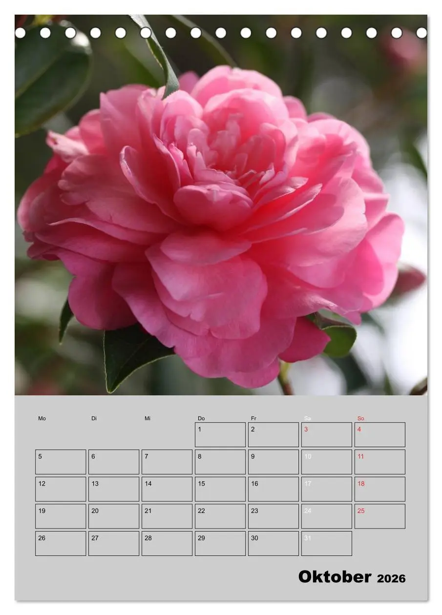 Bild: 9783516437058 | Kamelien Lichtblicke in der dunklen Jahreszeit (Tischkalender 2026...