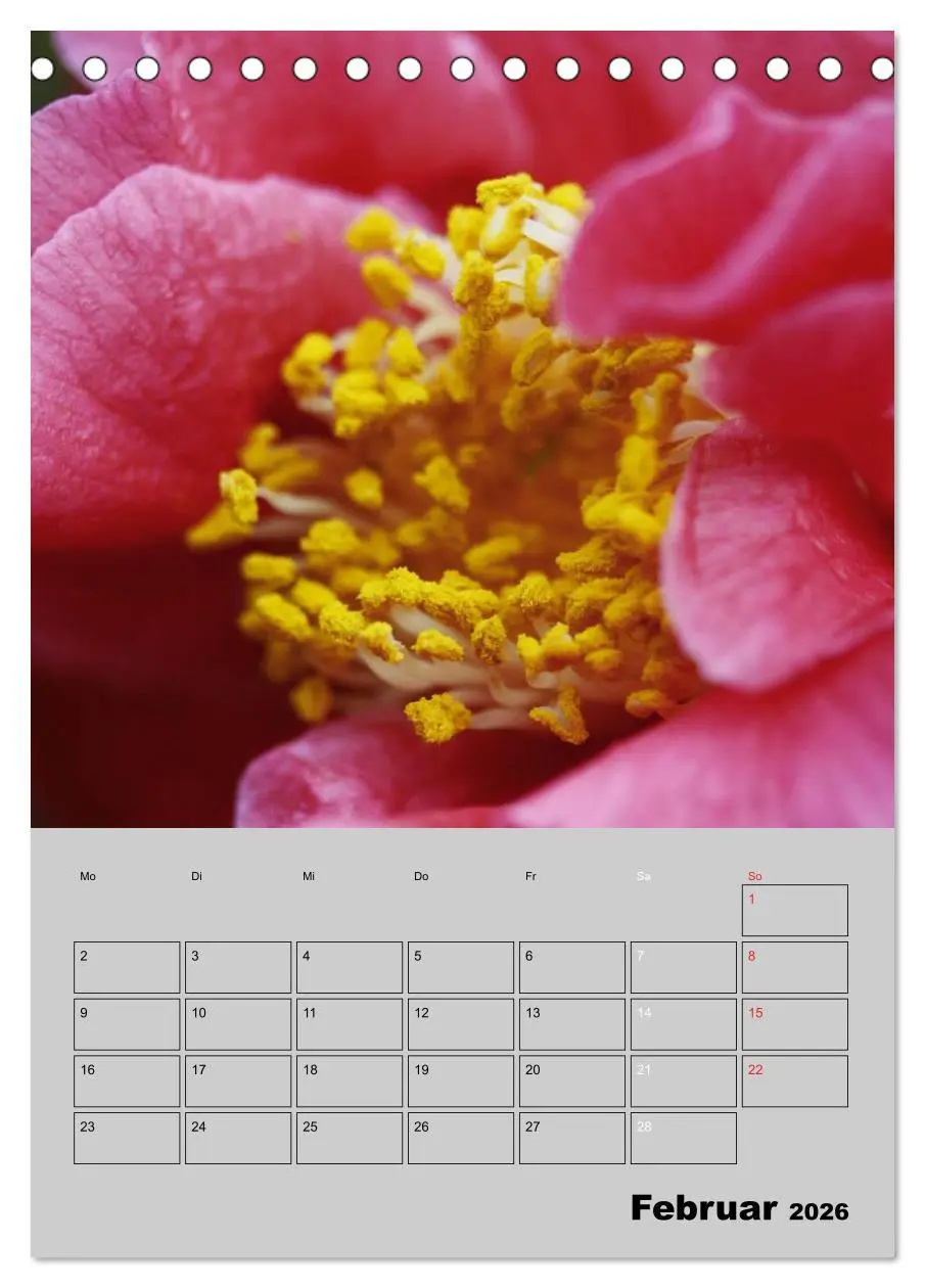 Bild: 9783516437058 | Kamelien Lichtblicke in der dunklen Jahreszeit (Tischkalender 2026...