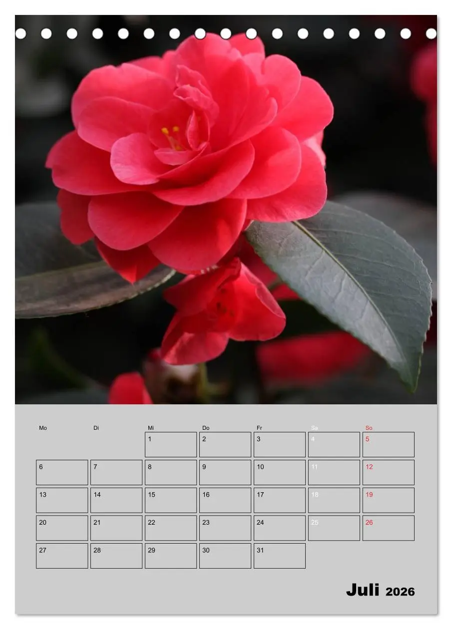Bild: 9783516437058 | Kamelien Lichtblicke in der dunklen Jahreszeit (Tischkalender 2026...
