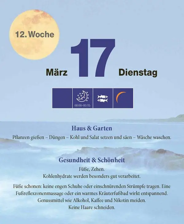 Bild: 9783731887058 | Mond Abreißkalender 2026 | Verlag Korsch | Kalender | 328 S. | Deutsch