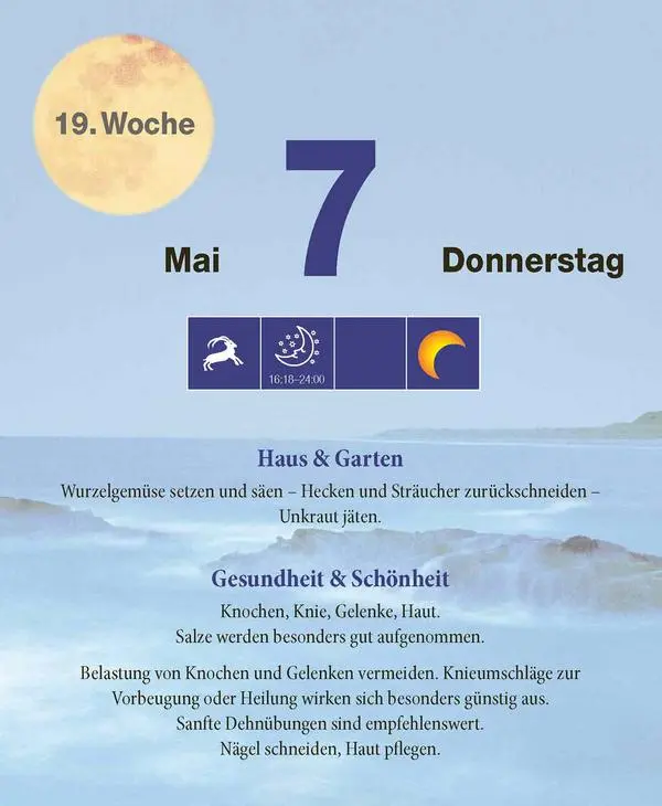 Bild: 9783731887058 | Mond Abreißkalender 2026 | Verlag Korsch | Kalender | 328 S. | Deutsch
