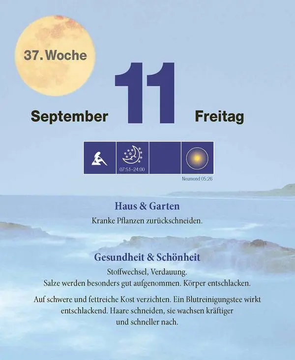 Bild: 9783731887058 | Mond Abreißkalender 2026 | Verlag Korsch | Kalender | 328 S. | Deutsch